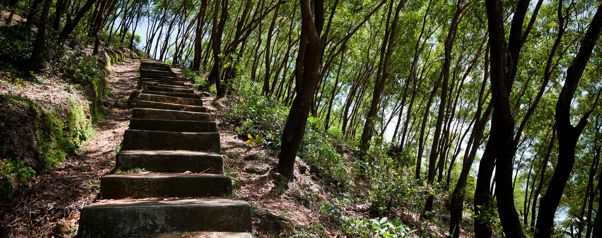 Make the First Step